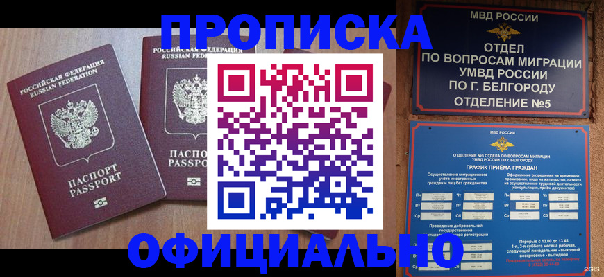 найти адрес прописки в Заполярном